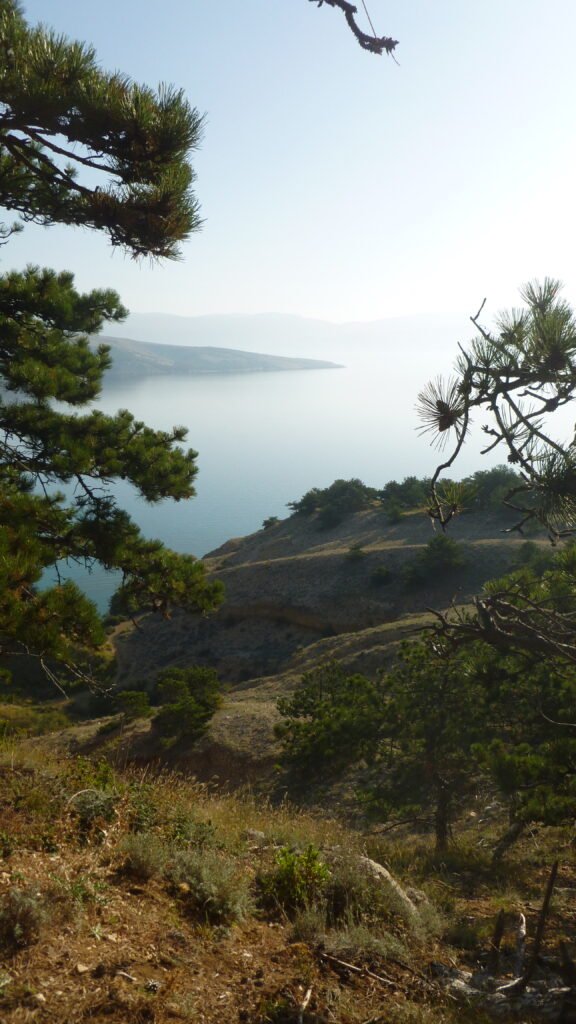 Morning Hike on the Baška hilltops