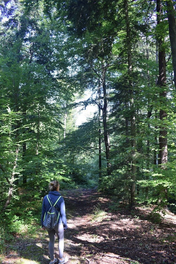 Hiking the Pohorje Hills, Maribor