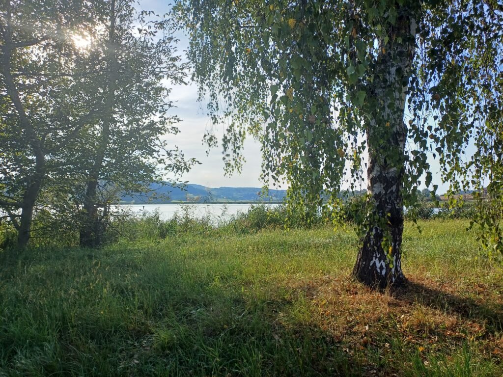 Lake Side Serene Views Lennart Maribor