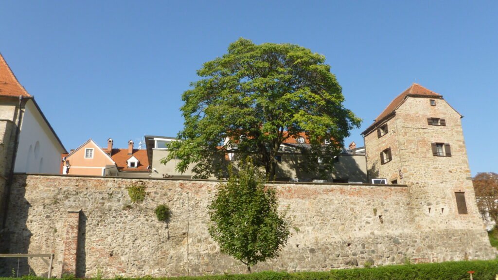 Medieval Architecture Blending with Nature Maribor