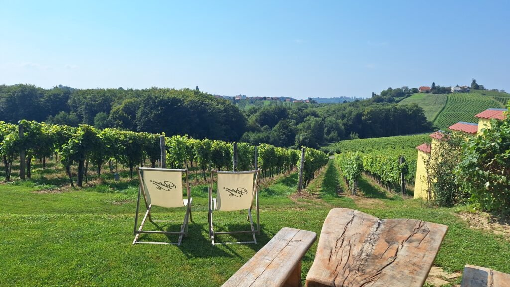 Slovenian Peaceful Vineyards on a Lazy Summer Sunday