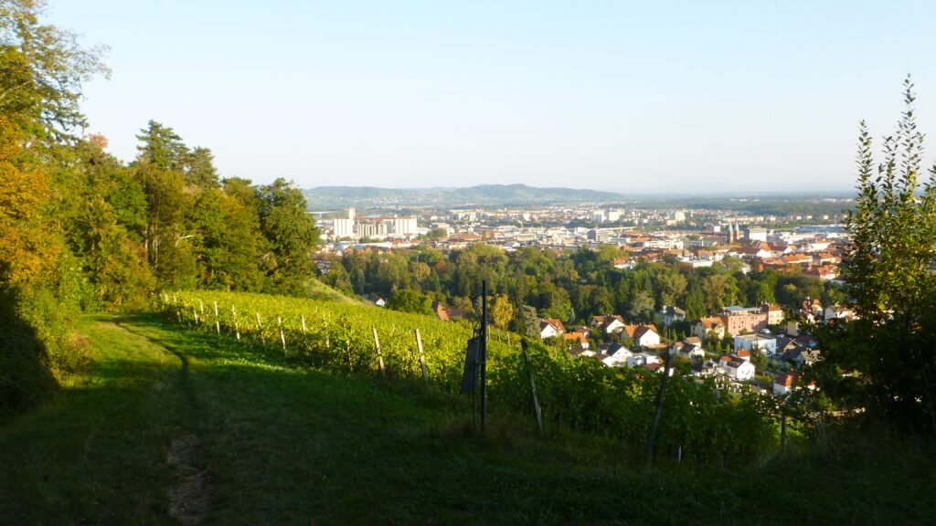 Maribor cityscape and hiking trail