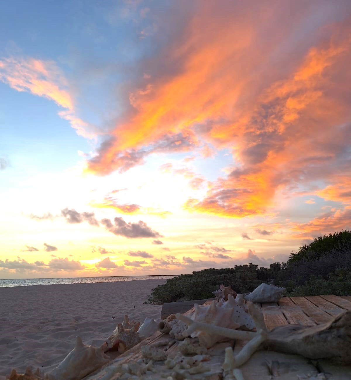 Beautiful Anegada Sunrise